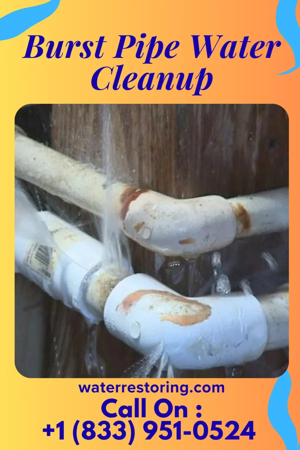 Burst Pipe Water Cleanup in Bayport, MN