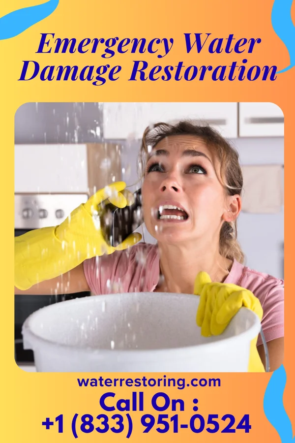 Emergency Water Damage Restoration in Bayport, MN