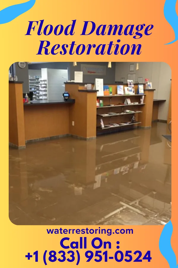Flood Damage Restoration in Bayport, MN