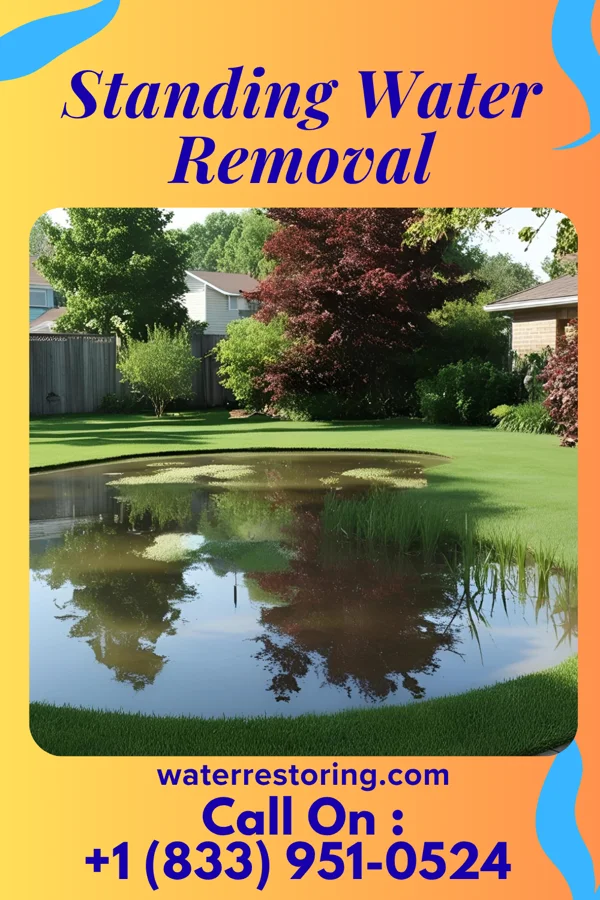 Standing Water Removal in Bayport, MN